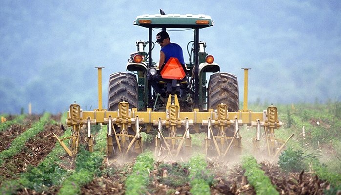 Quelles nouveautés pour la protection sociale des exploitants agricoles ? 